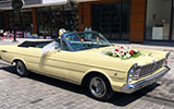 Ford Galaxie 500 XL. (65)