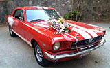 FORD MUSTANG (66)